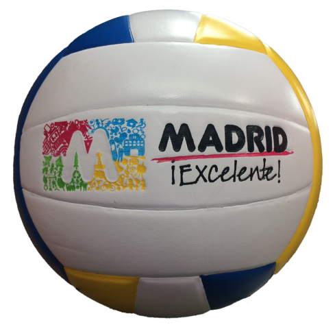 VOLEIBOL MADRID